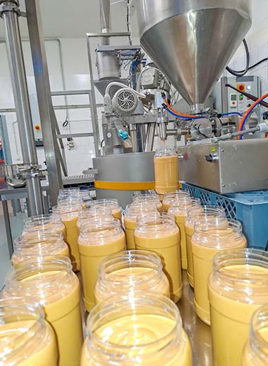 avivkitovgroup food and beverages industry